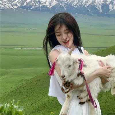 名校风暴第三季